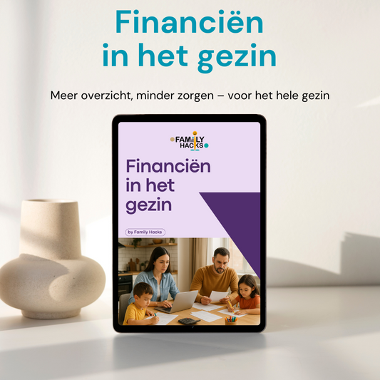 E-book - Financiën in het gezin