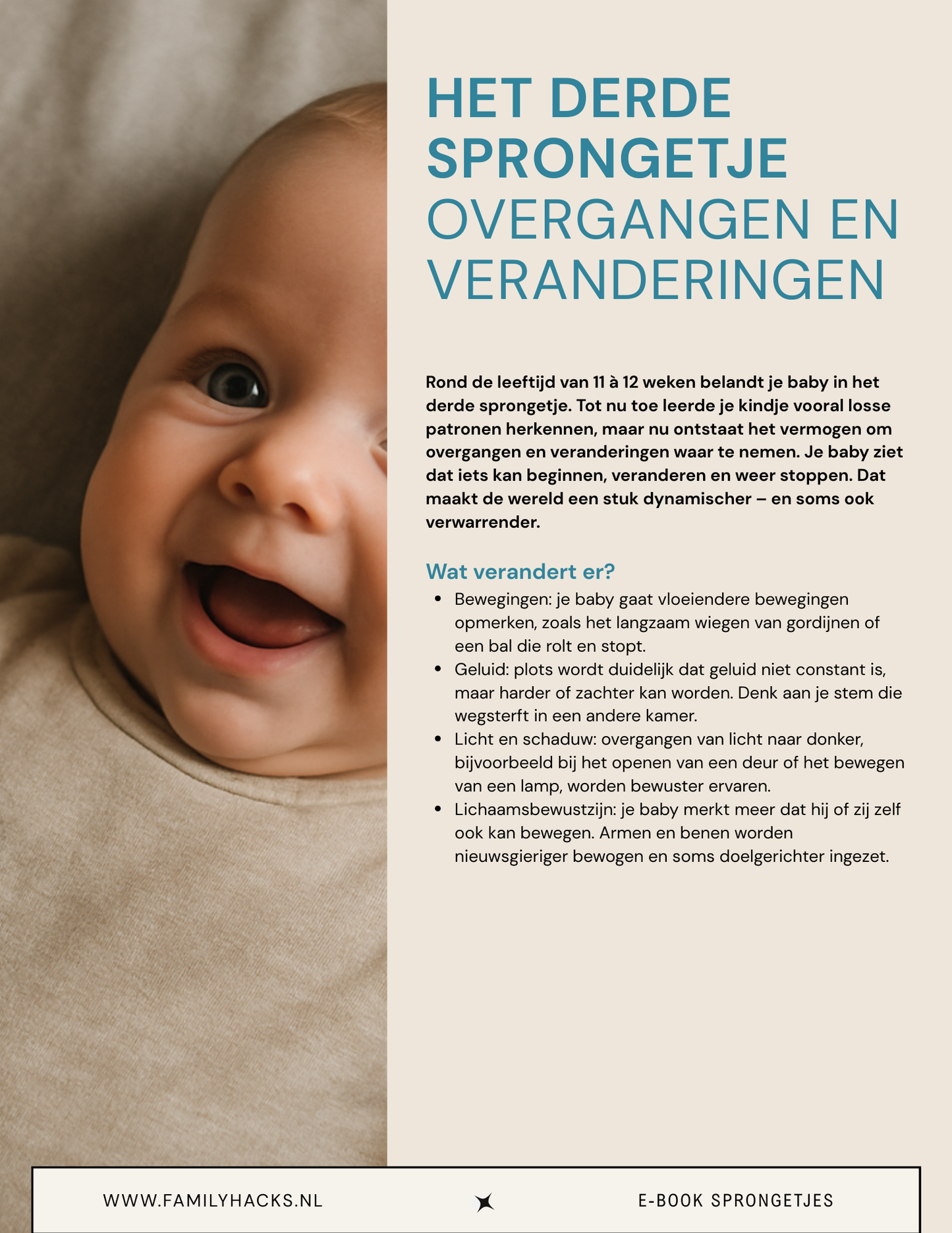 Bundel Family Hacks Life Pack